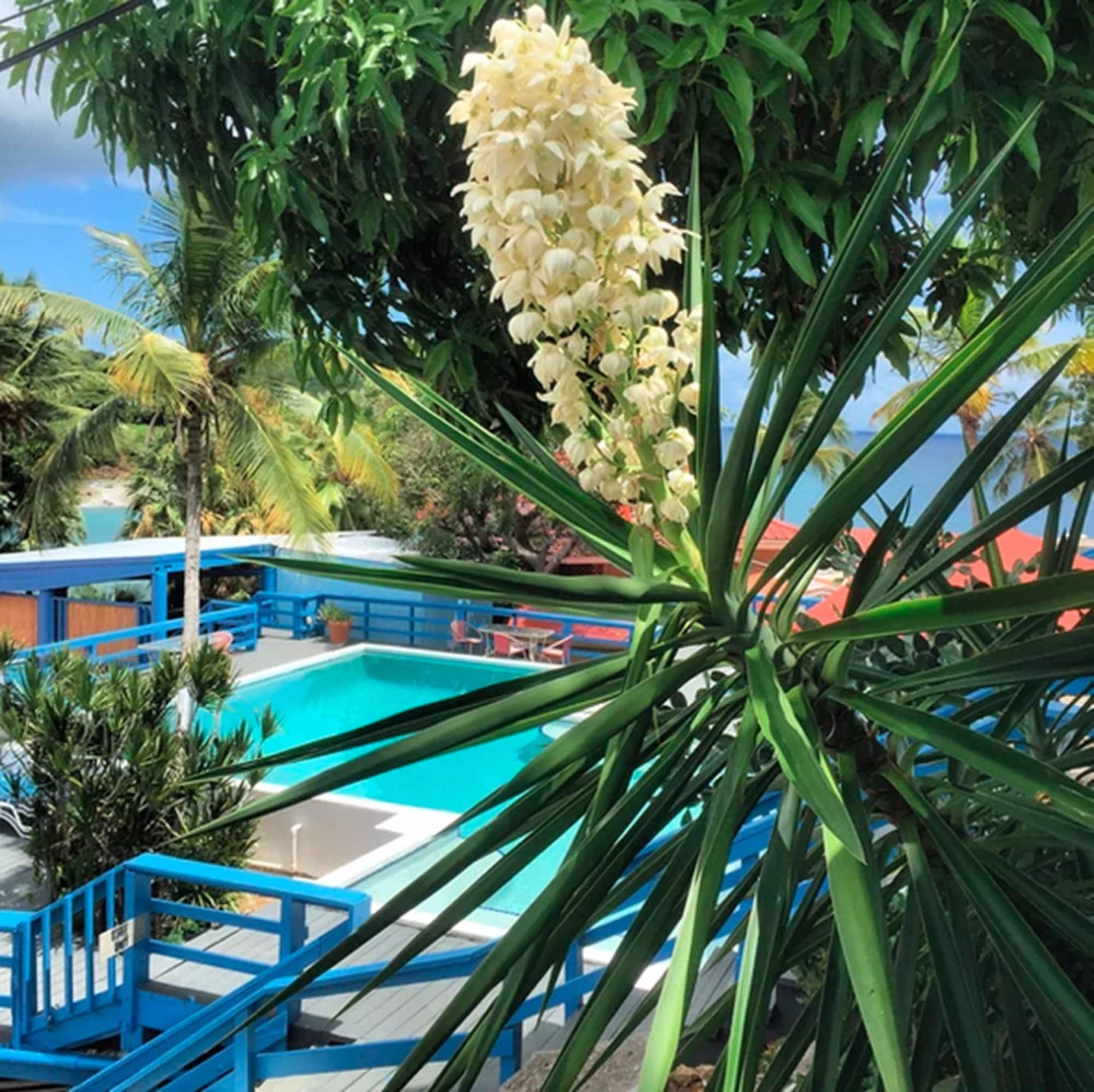 Olga'S Fancy Hotel Frenchtown Bagian luar foto